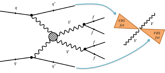 A diagram showing the production of Vector Boson Scattering at LHC